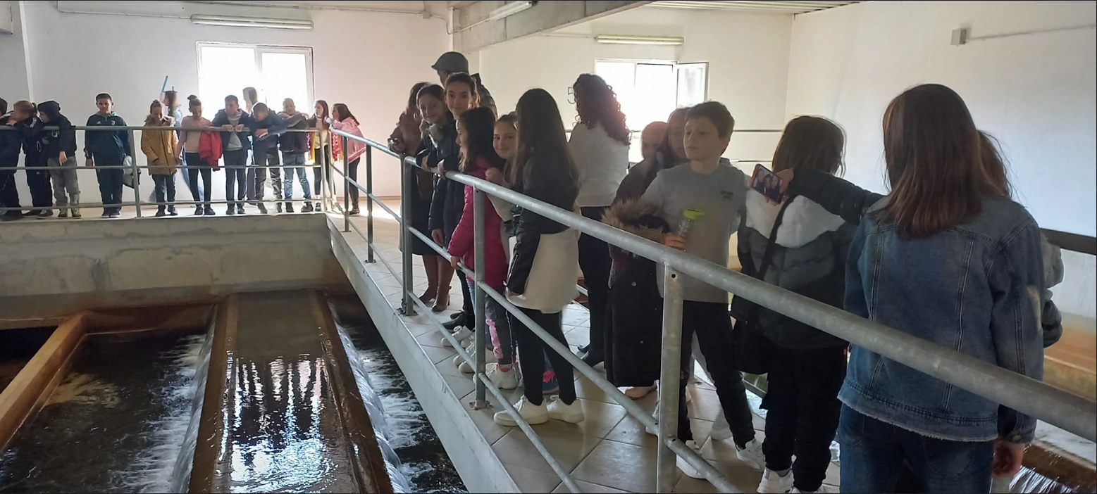 Screenshot 2023-07-02 170148