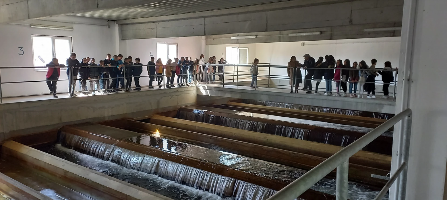 Screenshot 2023-07-02 170207