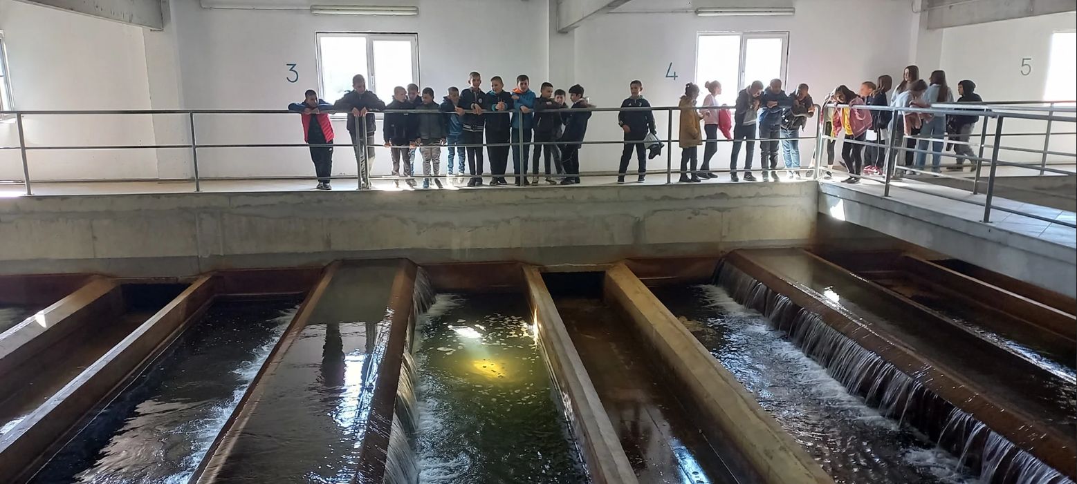 Screenshot 2023-07-02 170223